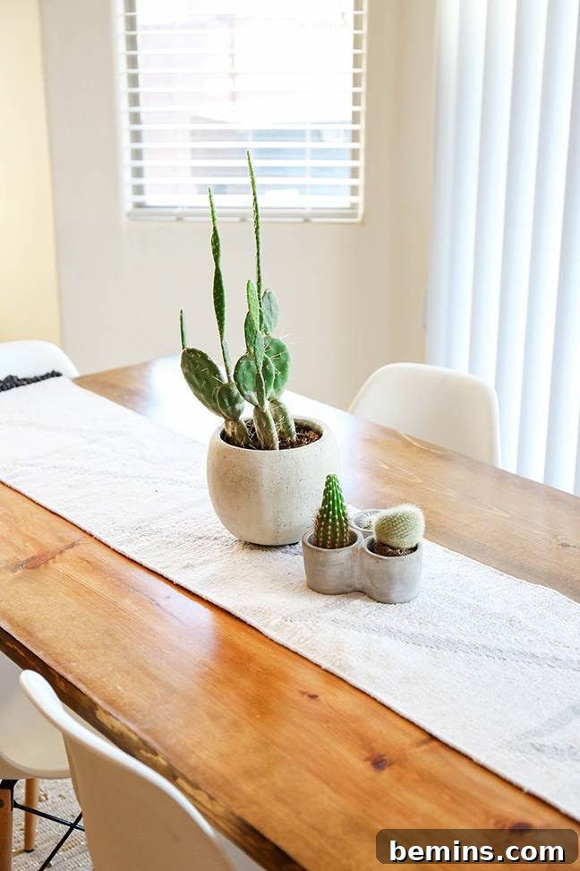 Foolproof Cactus Decor: Spiky Style, Zero Thorns 3 Varying Heights of Cacti for Dynamic Home Decor