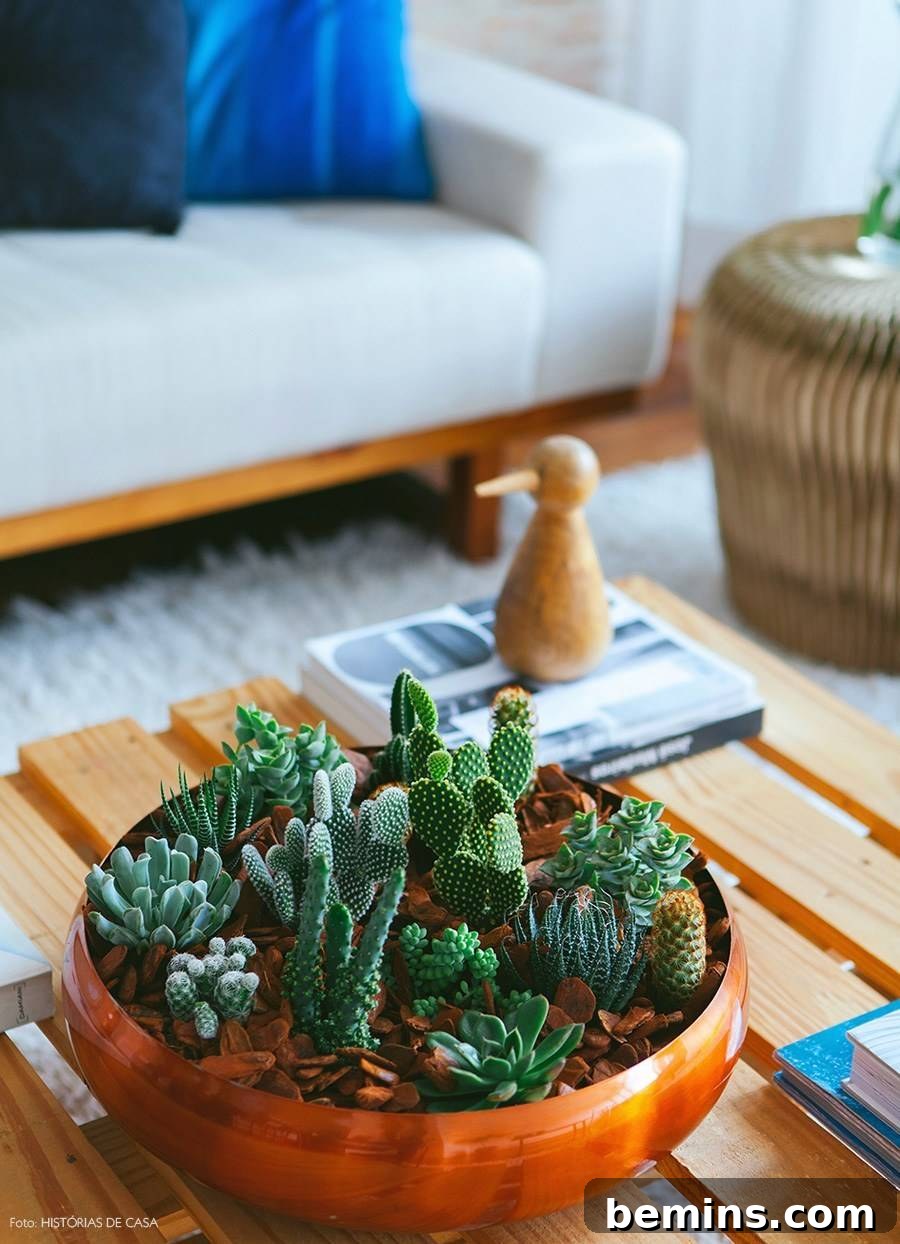 Foolproof Cactus Decor: Spiky Style, Zero Thorns 4 Creative Cactus and Succulent Arrangement in a Bowl