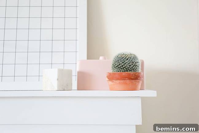 Foolproof Cactus Decor: Spiky Style, Zero Thorns 6 Minimalist Shelf Decor with Cacti
