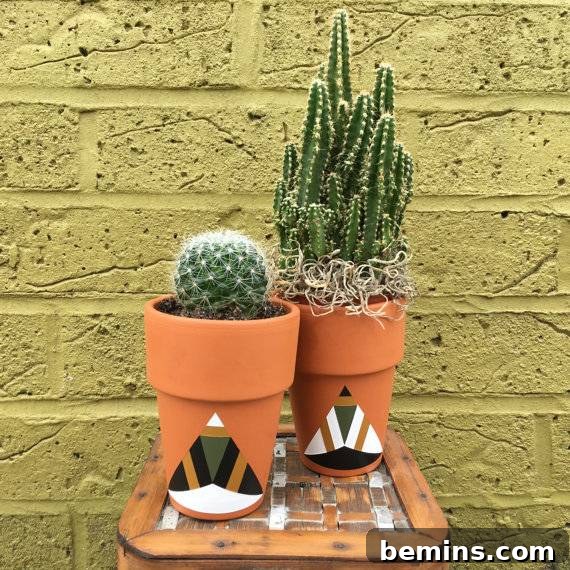 Geometric Terra Cotta Pots