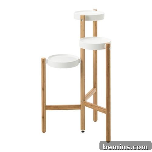SATSUMAS plant stand with various potted plants