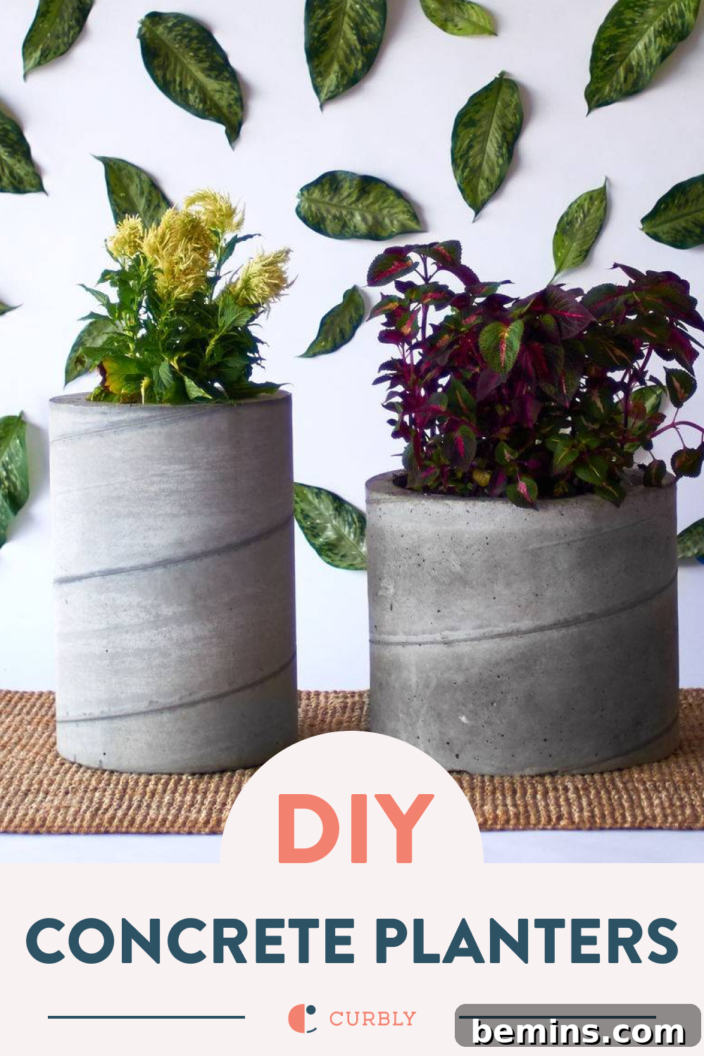 DIY concrete planters tutorial