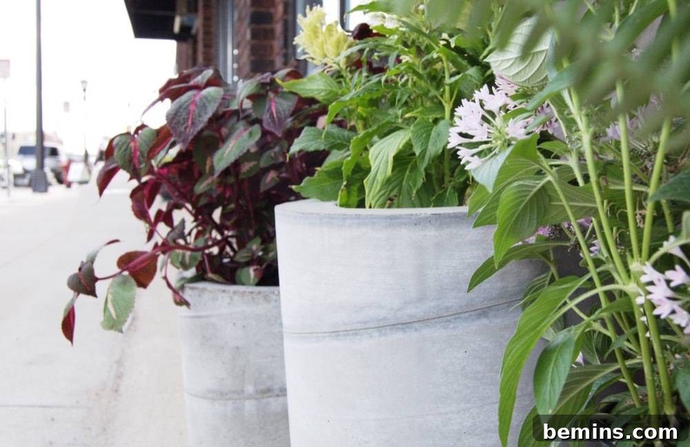 DIY large scale concrete planters