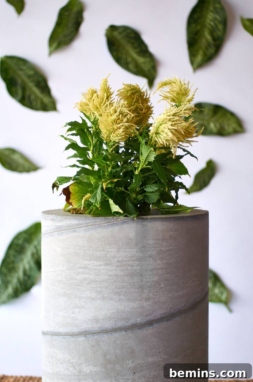 DIY large planter made of cement