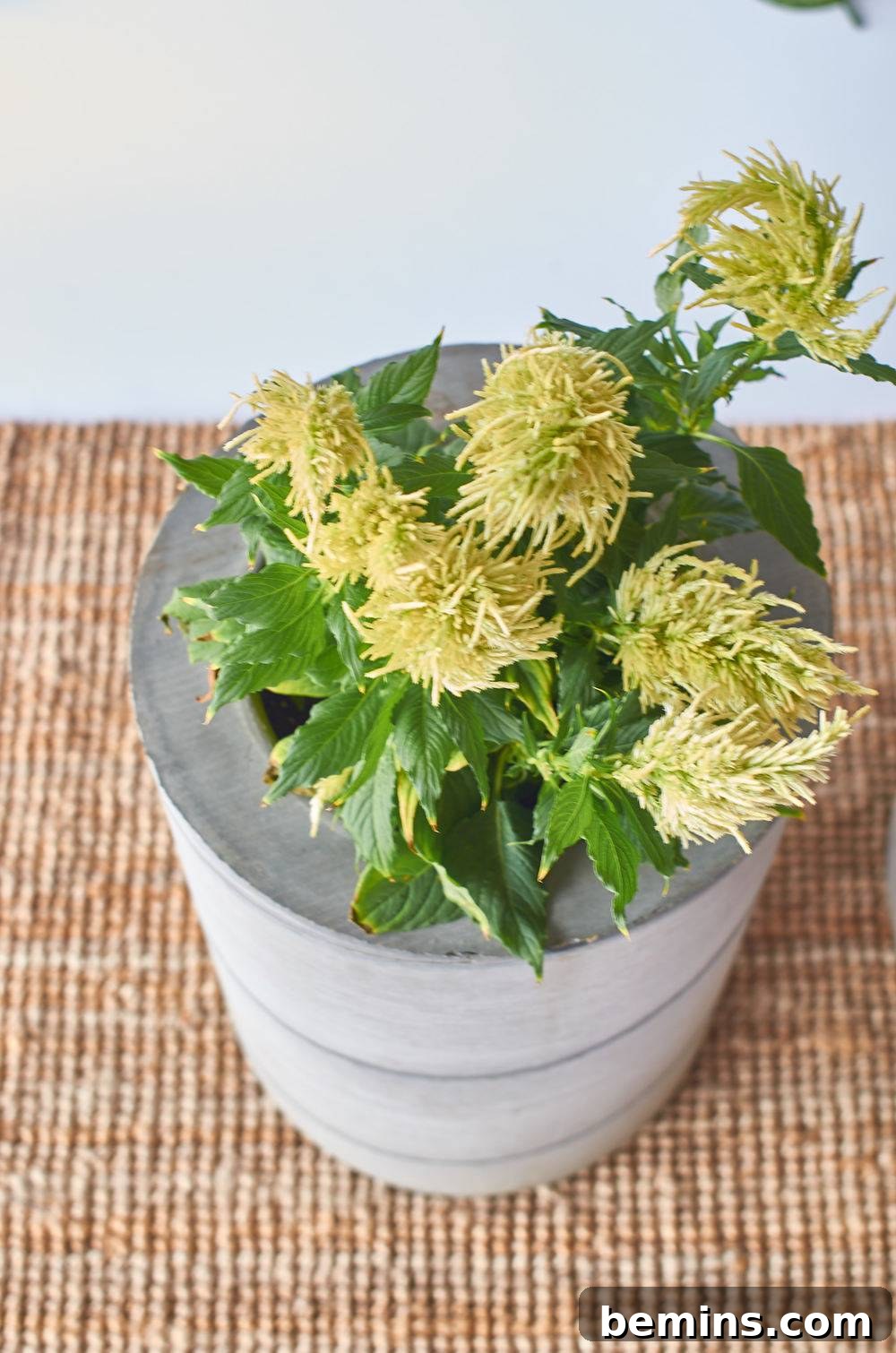 A vase lying on top of a table cloth with yellow flowers in it.