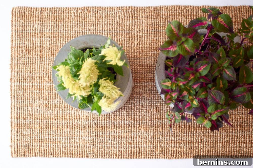 Two vase lying on top of a table cloth having plants in them.