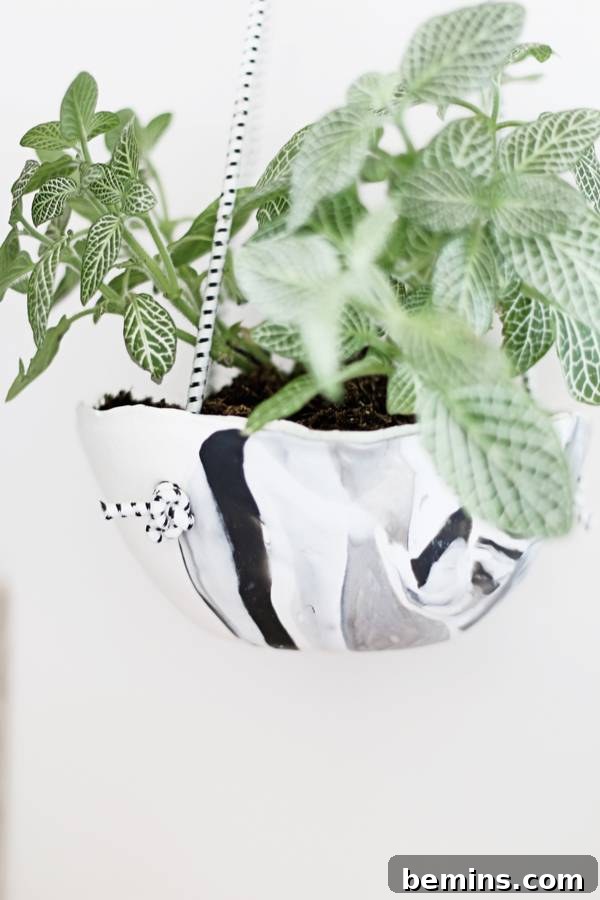 Create Beautiful DIY Hanging Clay Planters 13 Finished DIY Hanging Clay Planter with a small plant