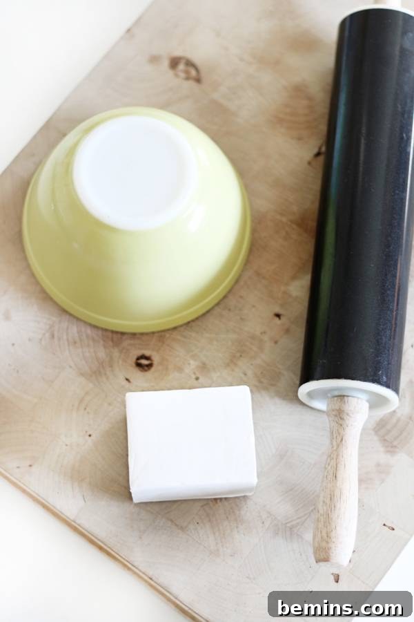 Create Beautiful DIY Hanging Clay Planters 3 Materials for DIY Hanging Clay Planter