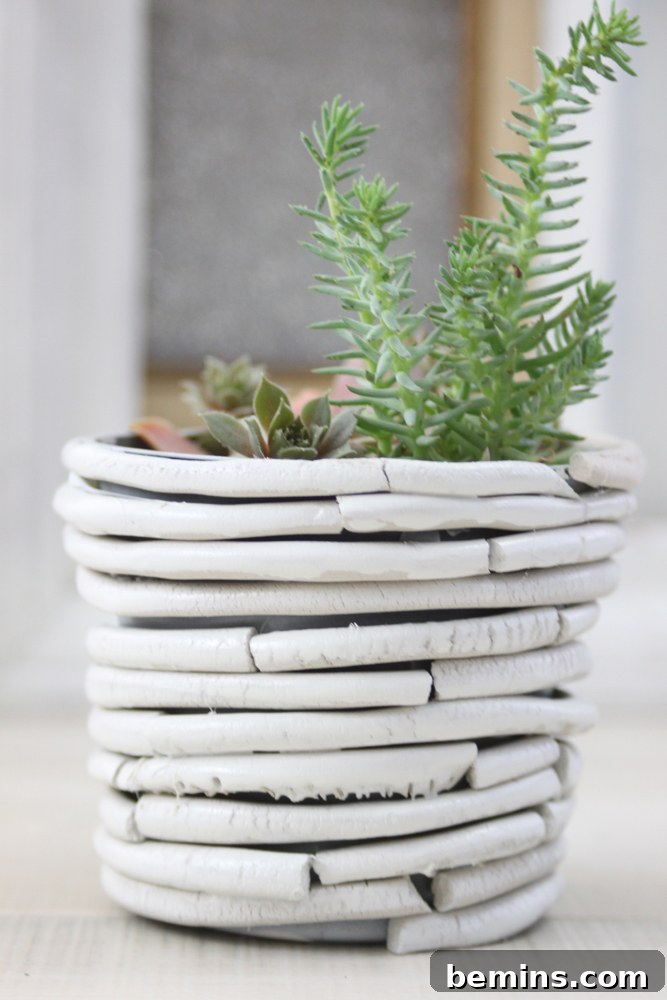 Curiosity Planter: Crafting a Quirky DIY "Bone" Vase 2 DIY Bone Vase using Air Dry Clay