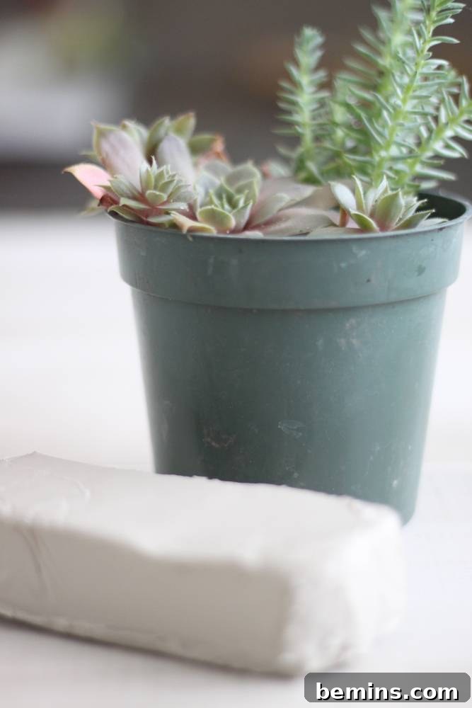 Curiosity Planter: Crafting a Quirky DIY "Bone" Vase 3 Materials needed for this project