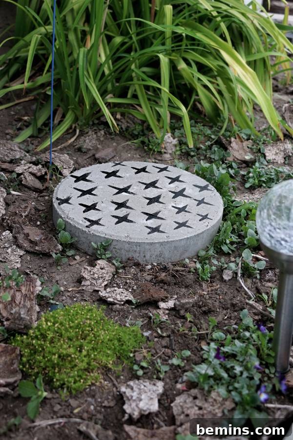 DIY Concrete Stepping Stones: A Creative Garden Path Project 7 Painted stepping stones placed in a garden.