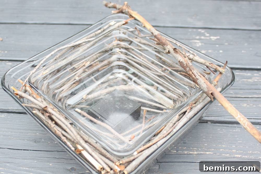 DIY S'mores Station: The Ultimate Tabletop Centerpiece 4 Arranging twigs between the nesting bowls