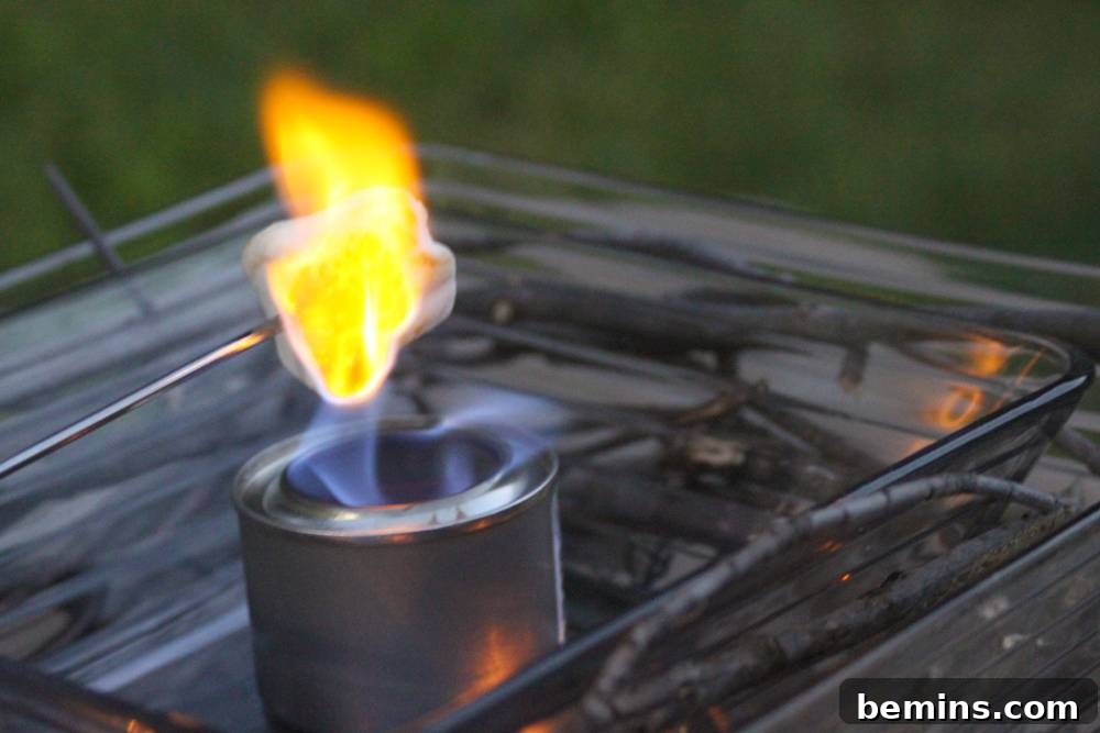 DIY S'mores Station: The Ultimate Tabletop Centerpiece 7 Roasting a marshmallow on the centerpiece