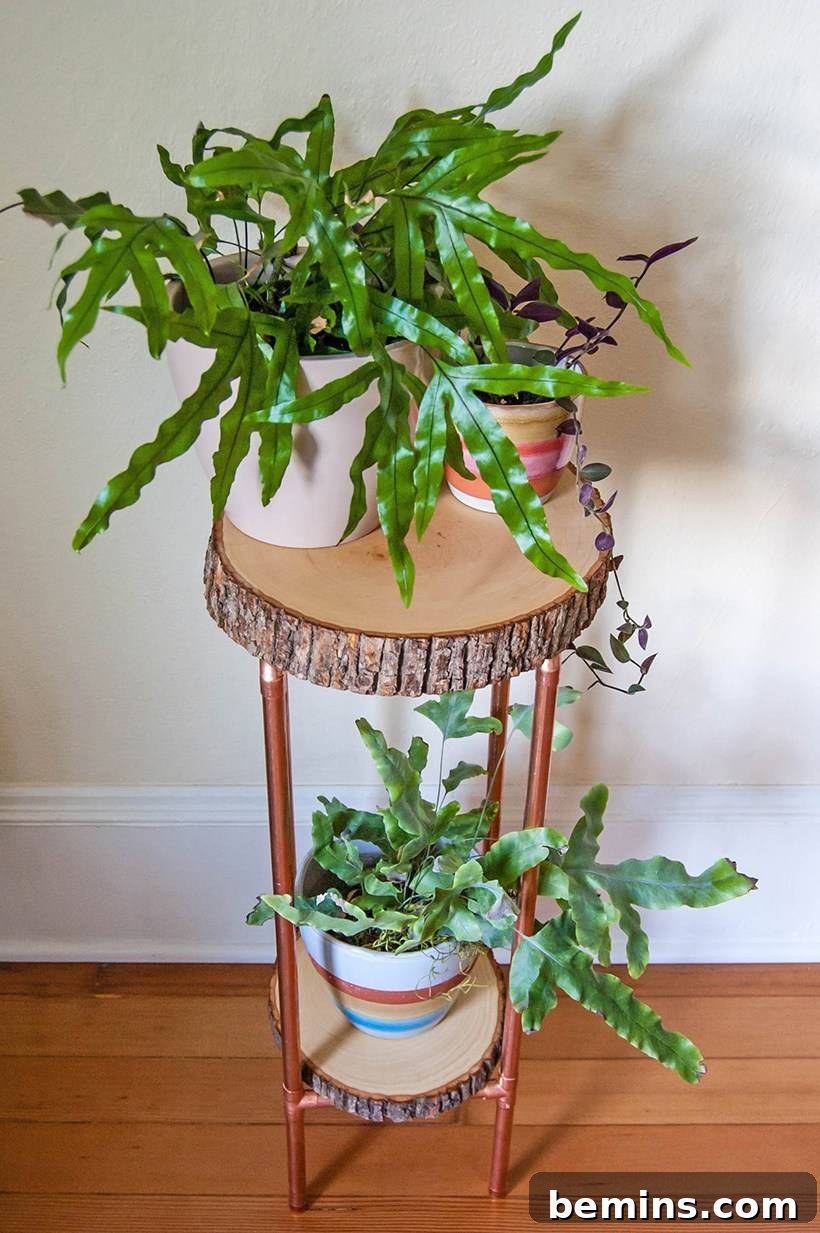 DIY Tree Trunk Table Rustic Furniture Project