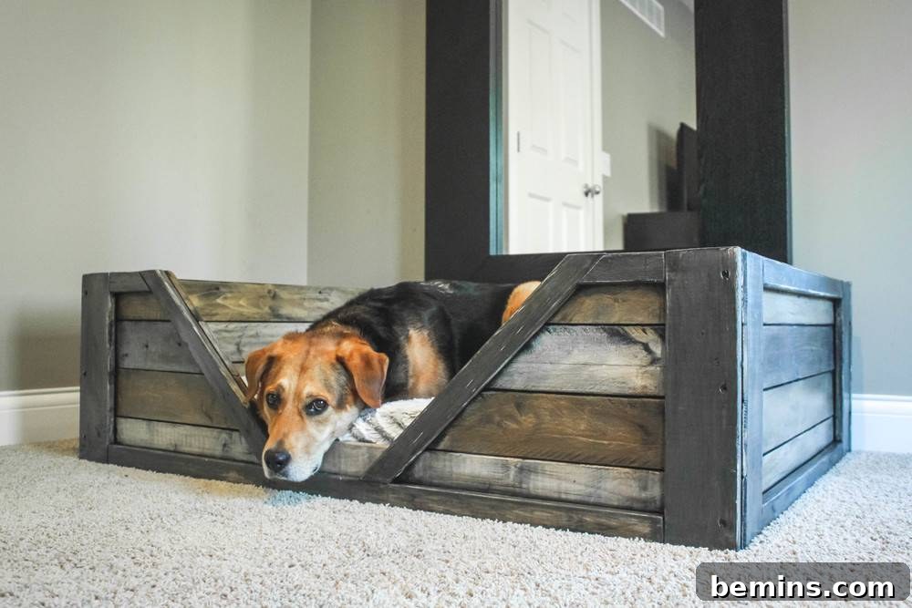 DIY Pallet Dog Bed Rustic Furniture Project