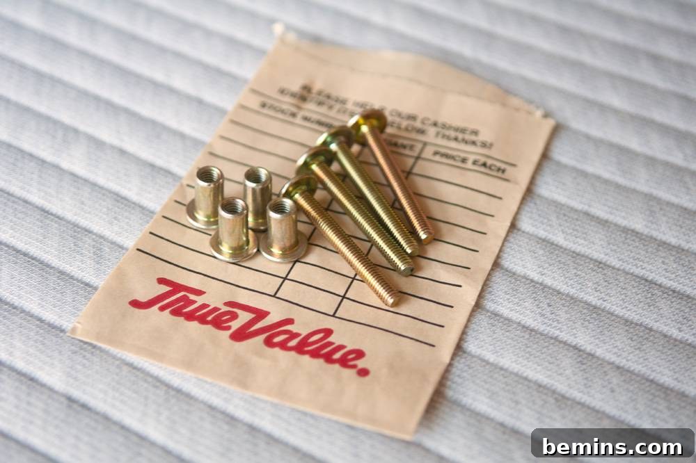 A True Value bag with screws laid on top of it.