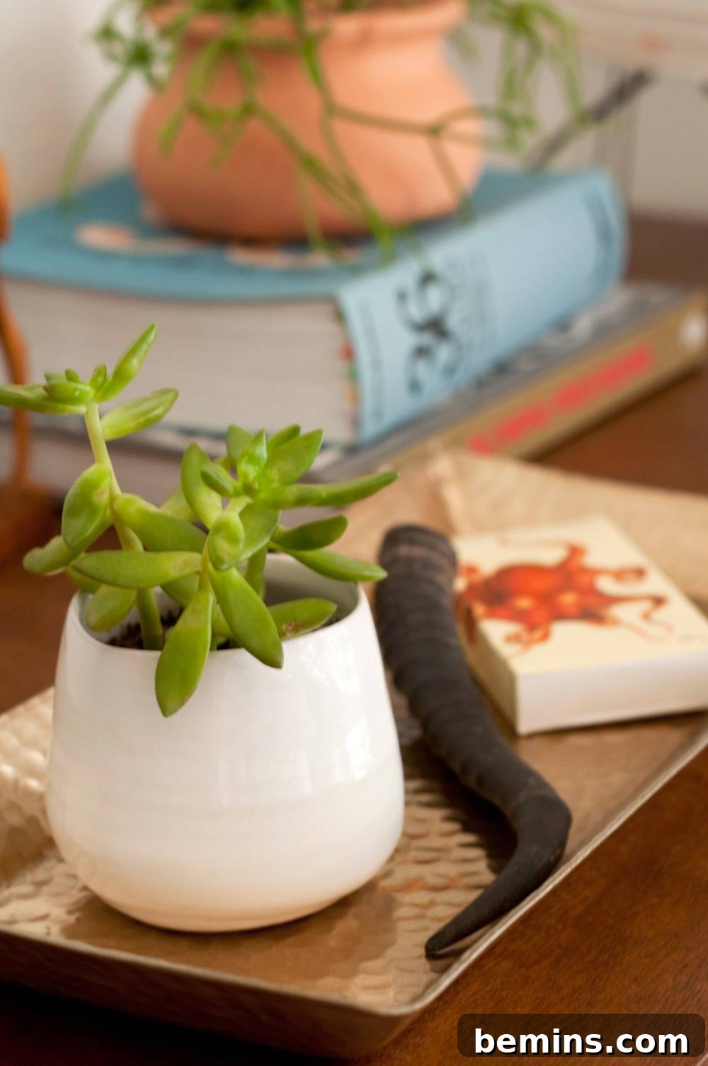 A white pot on a table next to a blue book with another plant on it