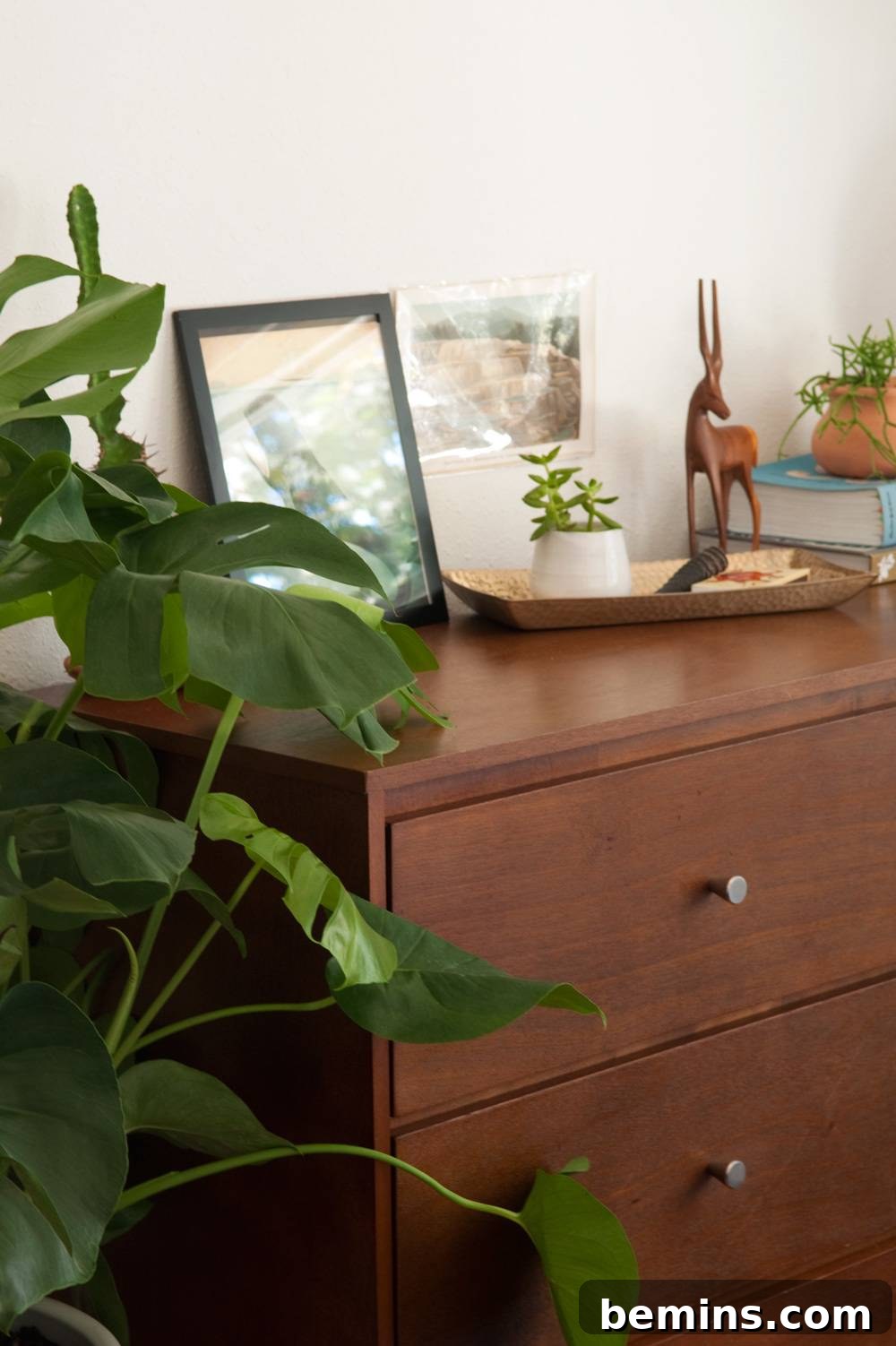 Pictures are set up on a dresser with a plant next to it.