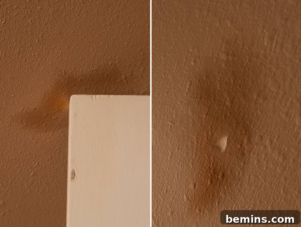 A partially dried, mismatched brown patch on a beige wall.