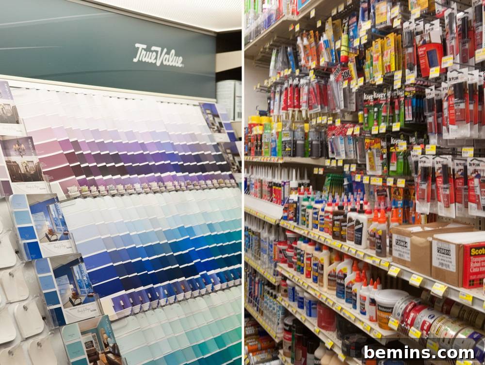 A paint shelf displaying various color options and paint swatches.