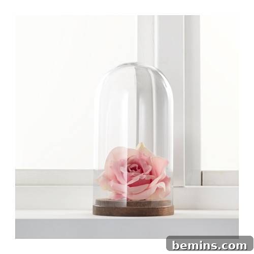 Ten Chic IKEA Finds Under $20 10 IKEA HÄRLIGA Glass Dome