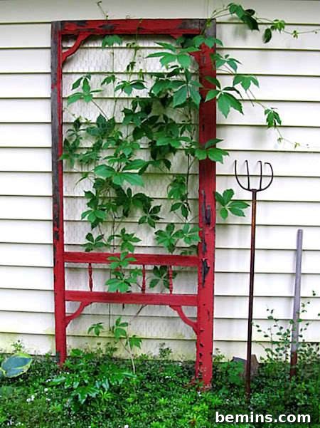 Old screen door repurposed as a garden trellis