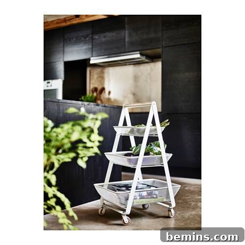 RISATORP Utility Cart: Endless possibilities for storage and display