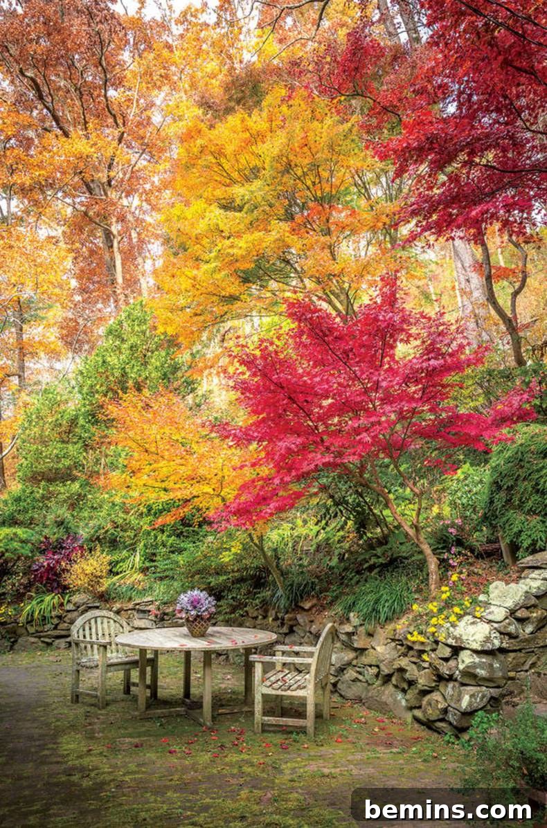 Fall garden inspiration featuring a variety of plants and colors.