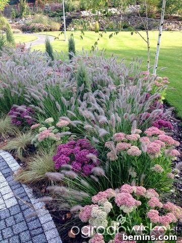 Purple hues add a touch of elegance and sophistication to a fall garden.