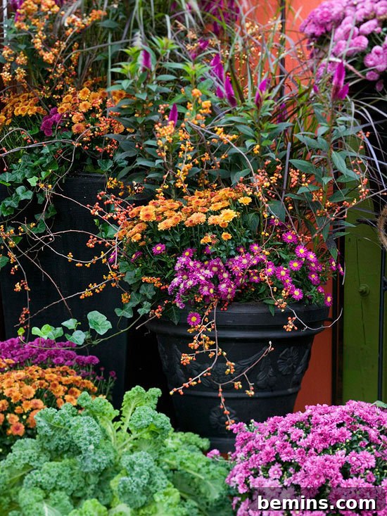 Vibrant color combinations in a fall garden, showcasing the beauty of reds, oranges, and yellows.