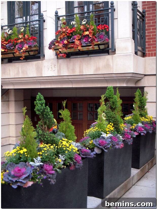 Urban garden inspiration for fall, featuring ornamental cabbage alongside evergreen shrubs.