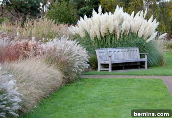 Ornamental grasses add texture and movement to a fall garden landscape.