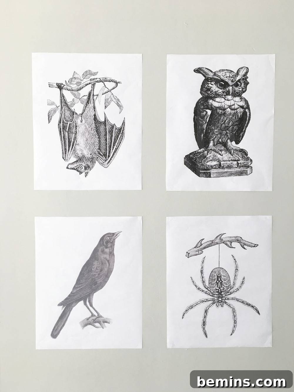 Vintage Halloween Prints Mounted on Wall