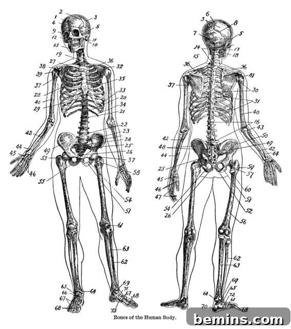 Vintage Halloween Skeleton Dictionary Pages