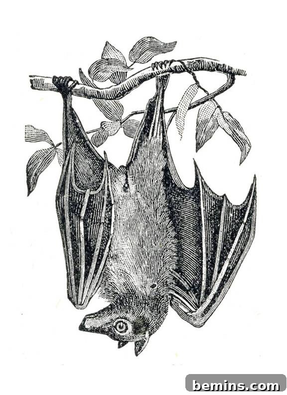 Vintage Halloween Bat Printable