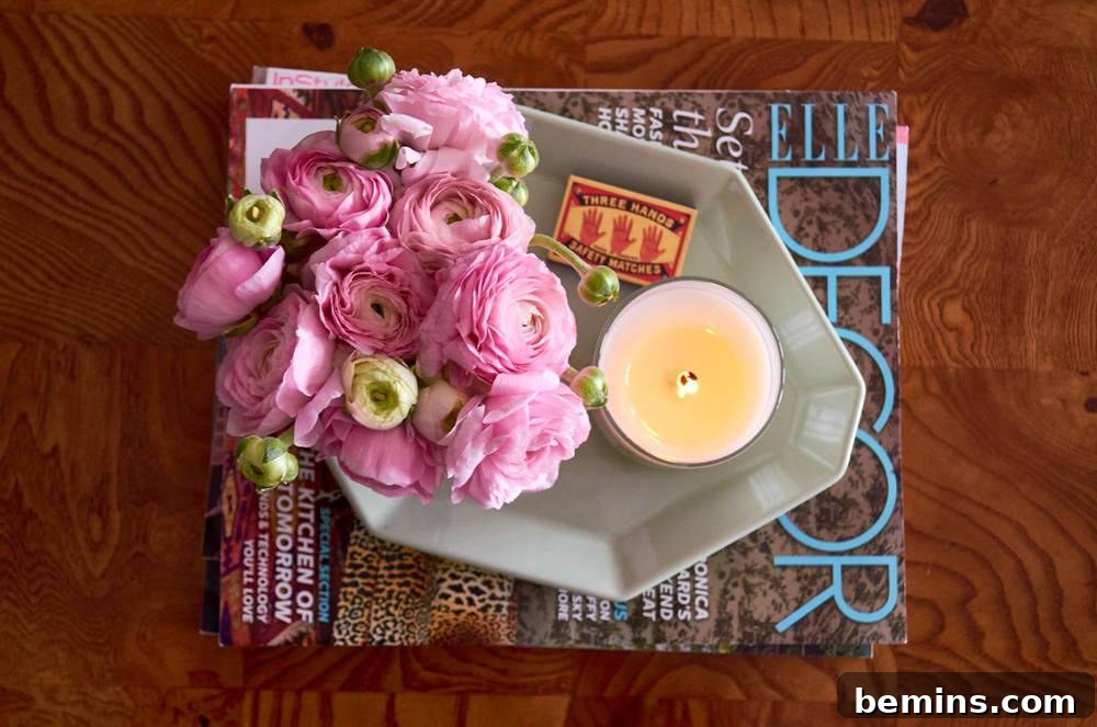Stylish coffee table accents