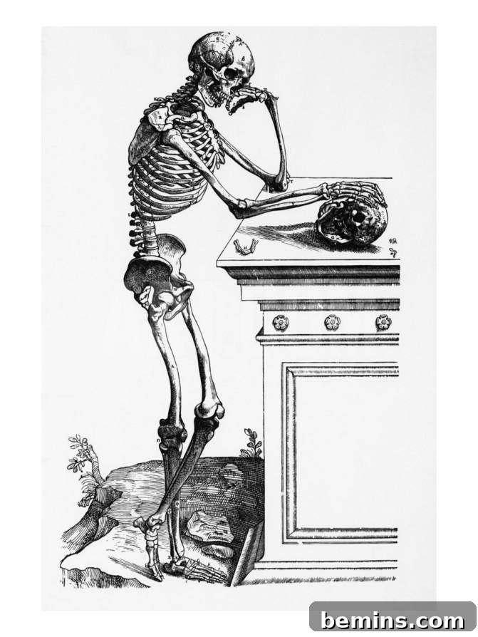 Chicly Spooky: Black & White Halloween Decor 5 Skeleton Print - Art.com