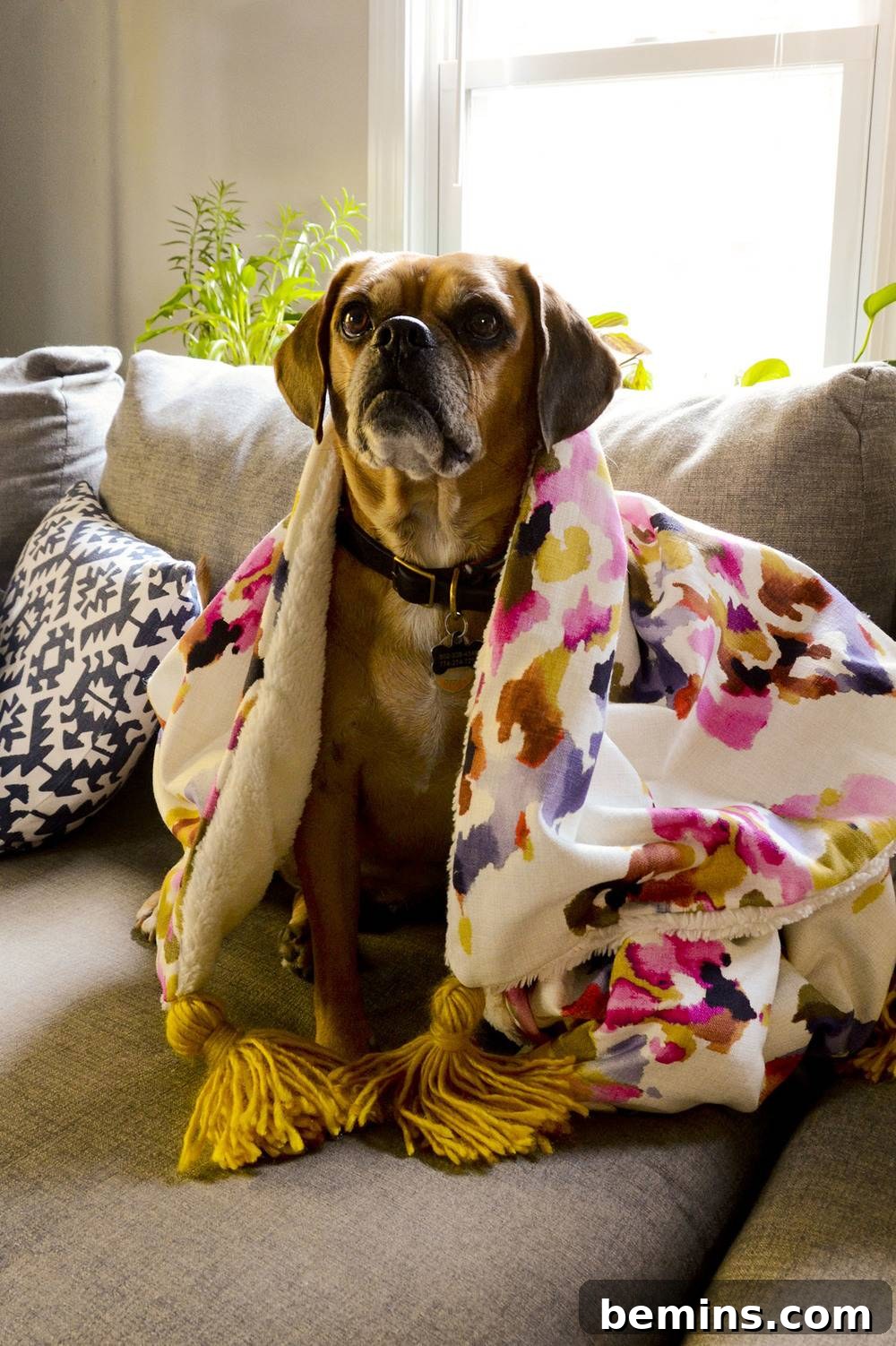 Sewing 101: How to Make a Cozy Faux Fur Throw Blanket For Fall