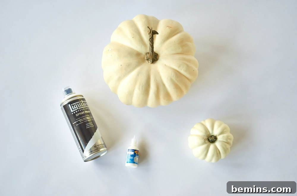 White pumpkins and spray on a white surface.