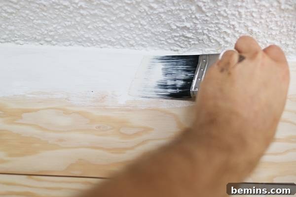 Cutting In Paint on Shiplap