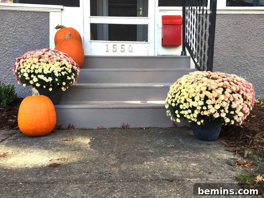 front step with red mailbox and mums: The welcoming front step with a vibrant red mailbox and colorful mums.