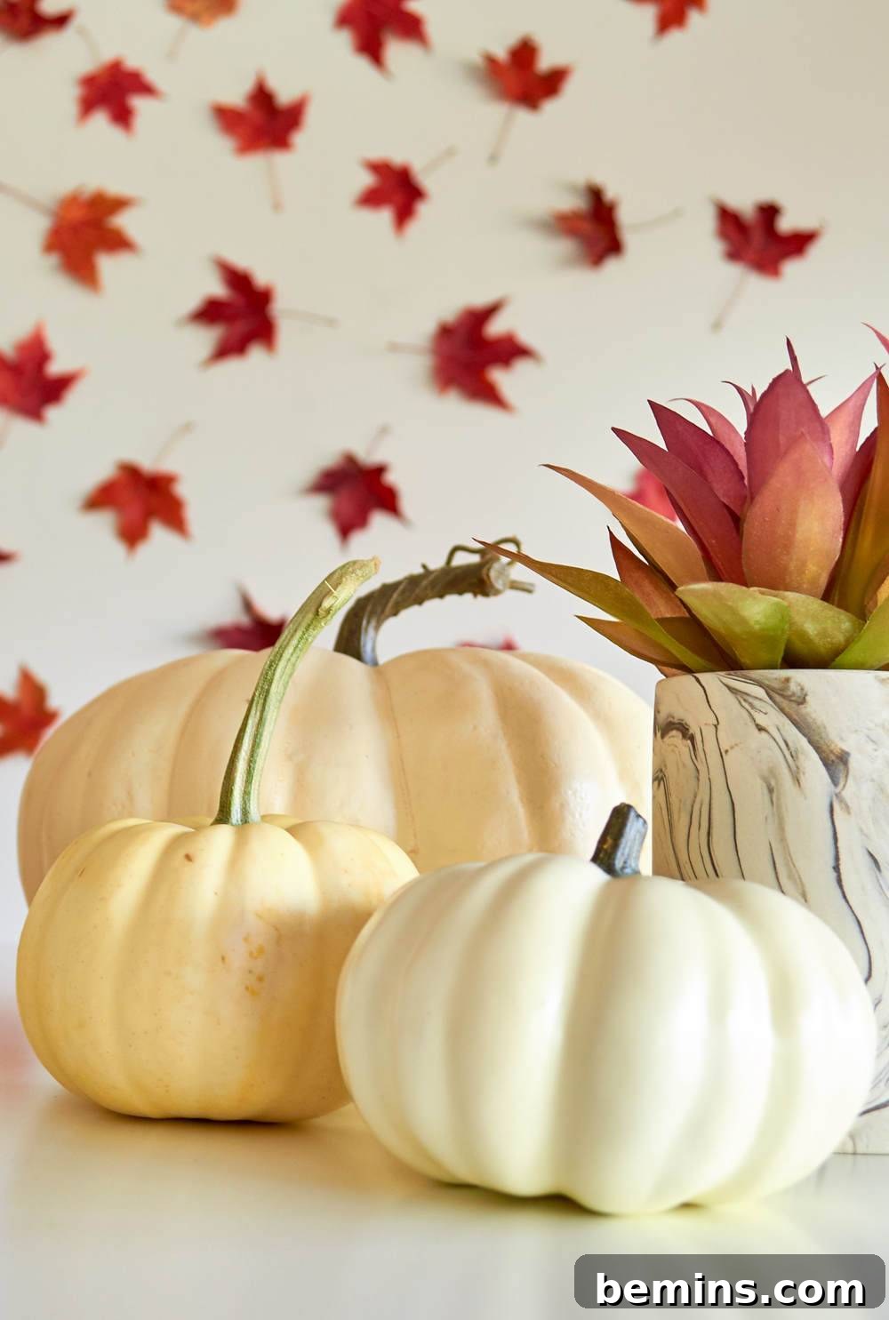 white pumpkins with flowers on the wall