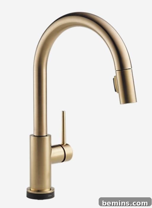 Champagne Bronze Kitchen Faucet
