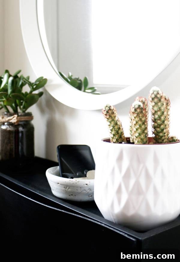 Smart Storage Solutions: An Effortless Mudroom Makeover 12 Adding Plants and Accessories to Mudroom
