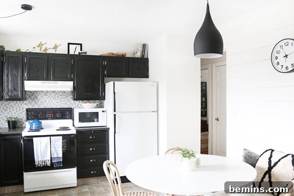 After: Black Cabinets and White Shiplap Walls