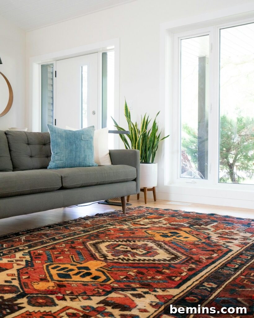 Teal 2-seat couch and red area rug
